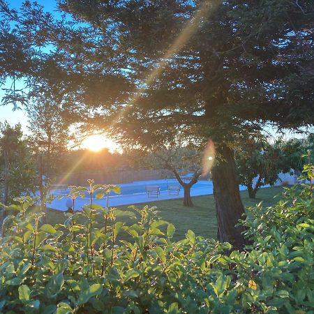 Marinella Suite Home Locorotondo Bagian luar foto